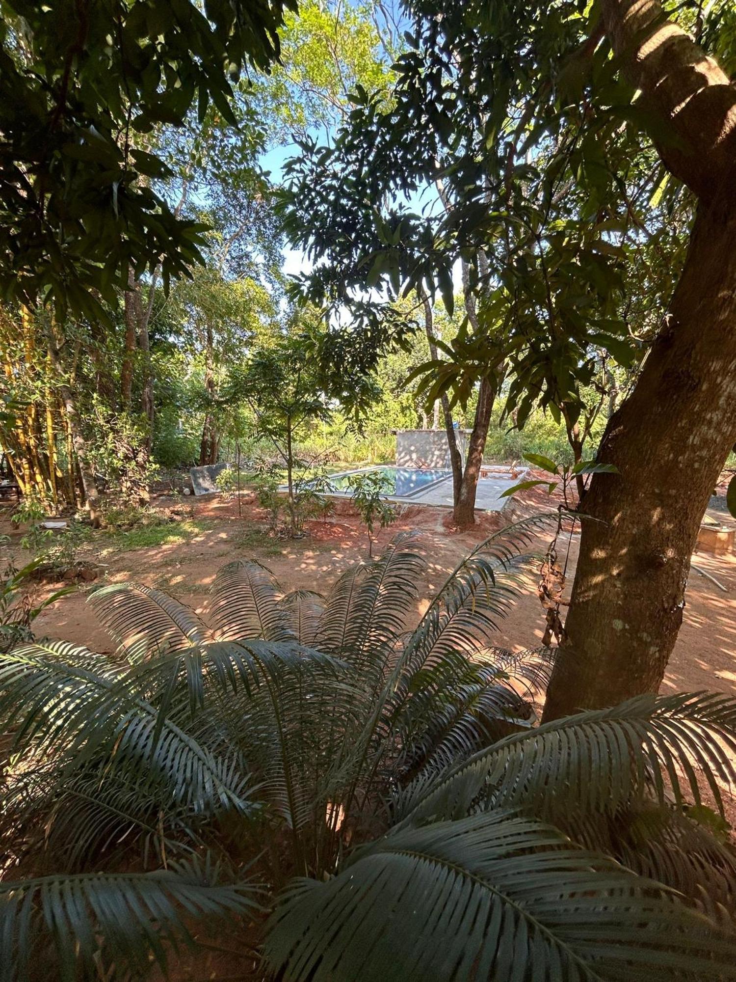 Isanka Lion Lodge Sigiriya Buitenkant foto