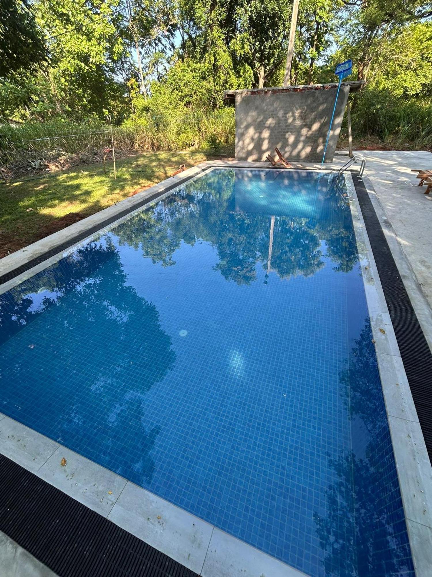 Isanka Lion Lodge Sigiriya Buitenkant foto