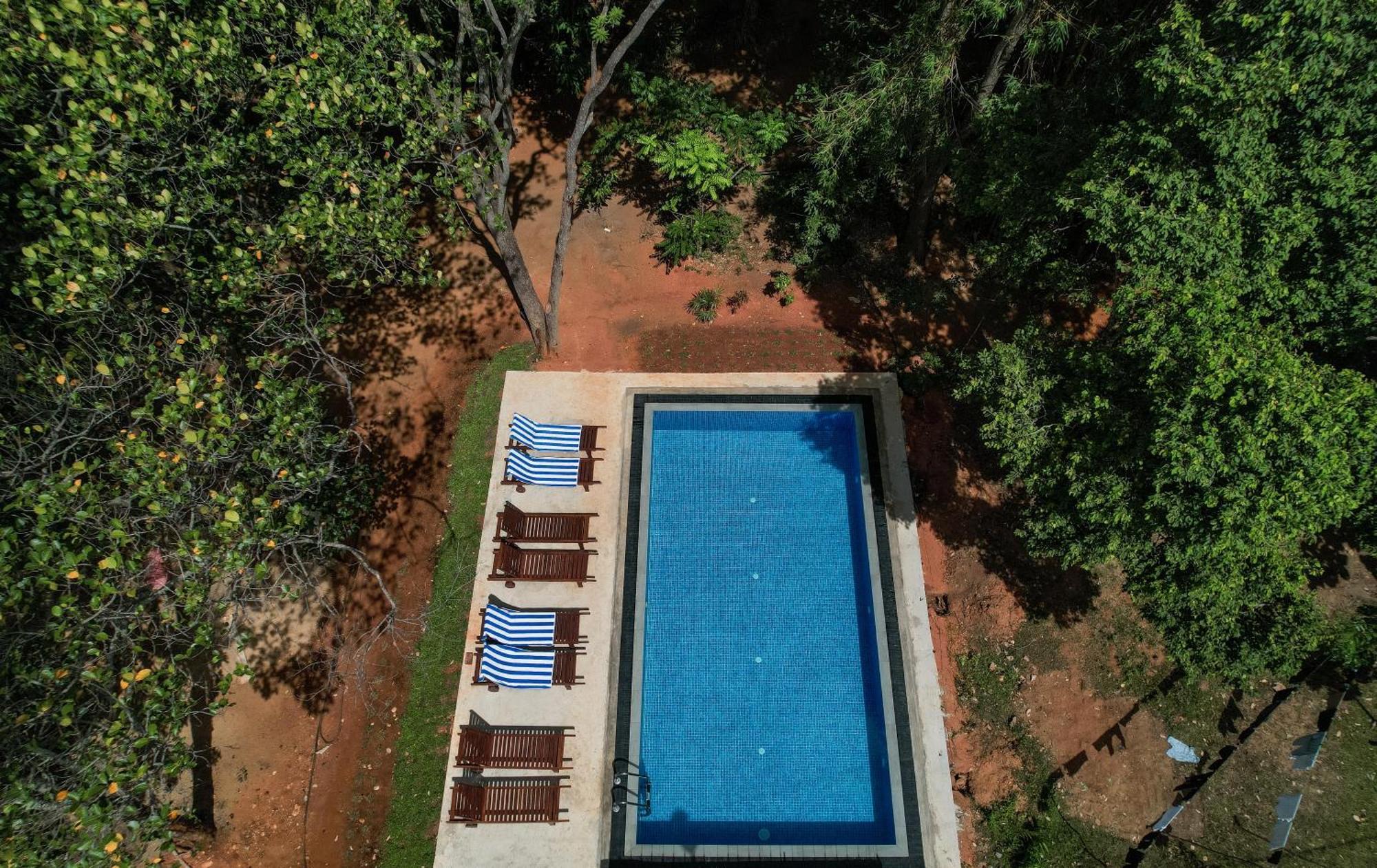 Isanka Lion Lodge Sigiriya Buitenkant foto
