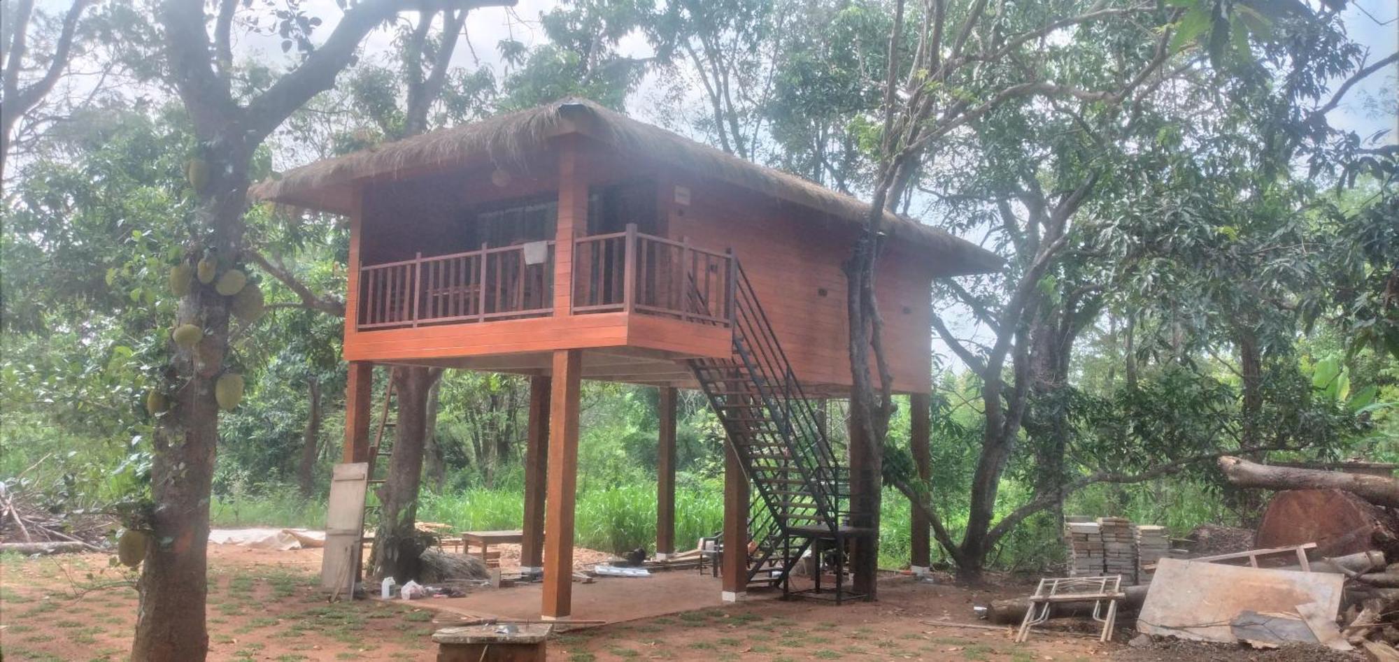 Isanka Lion Lodge Sigiriya Buitenkant foto