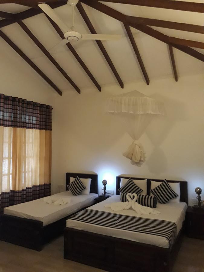 Isanka Lion Lodge Sigiriya Buitenkant foto